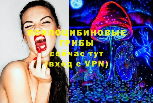 a pvp Алексин