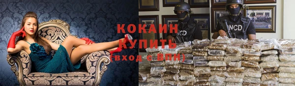 мет Алзамай