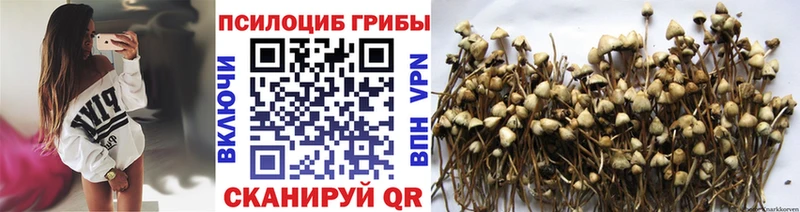 Галлюциногенные грибы Magic Shrooms  Переславль-Залесский 